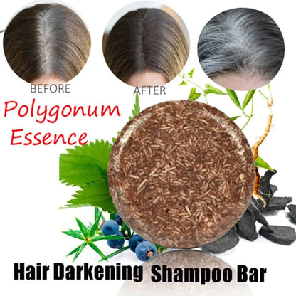 Organic Polygonum Hair Darkening Shampoo Bar